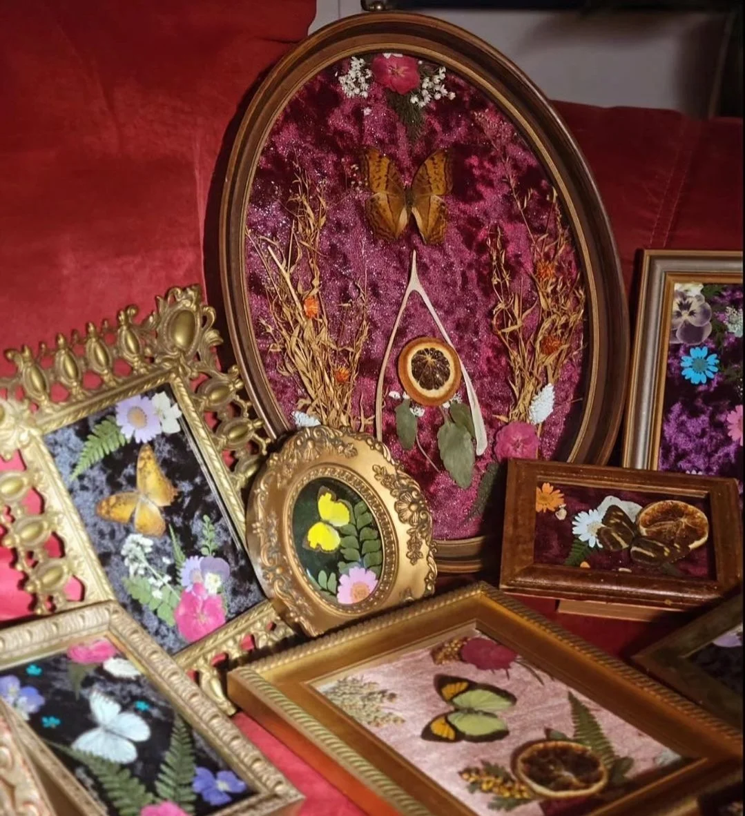 Butterfly Framing Workshop 2/15/26