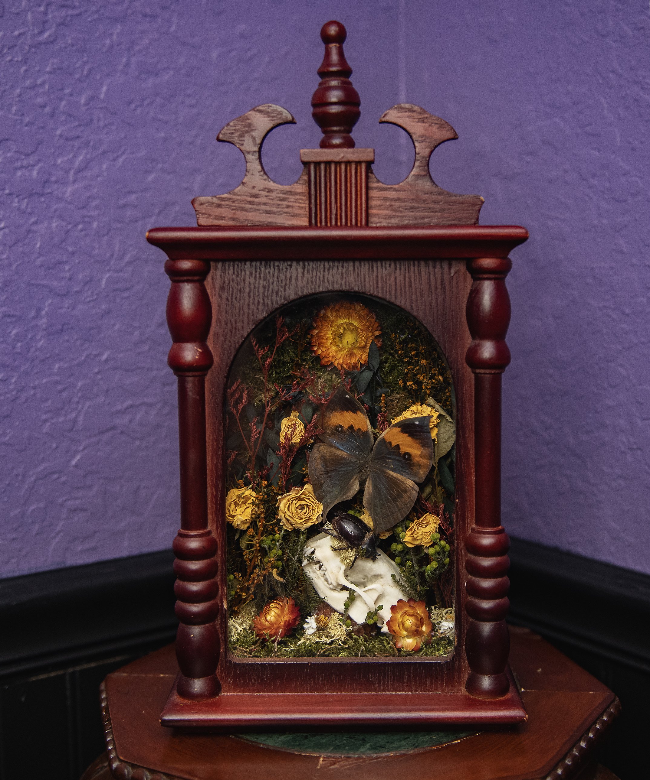 Forgotten in the Forest