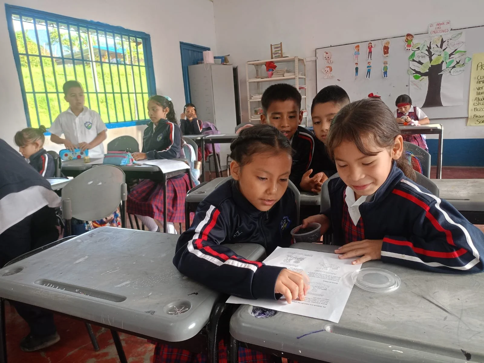 Copia de 56ccc75a-c6f2-4d6e-acbb-0d3b522edf51.jpg