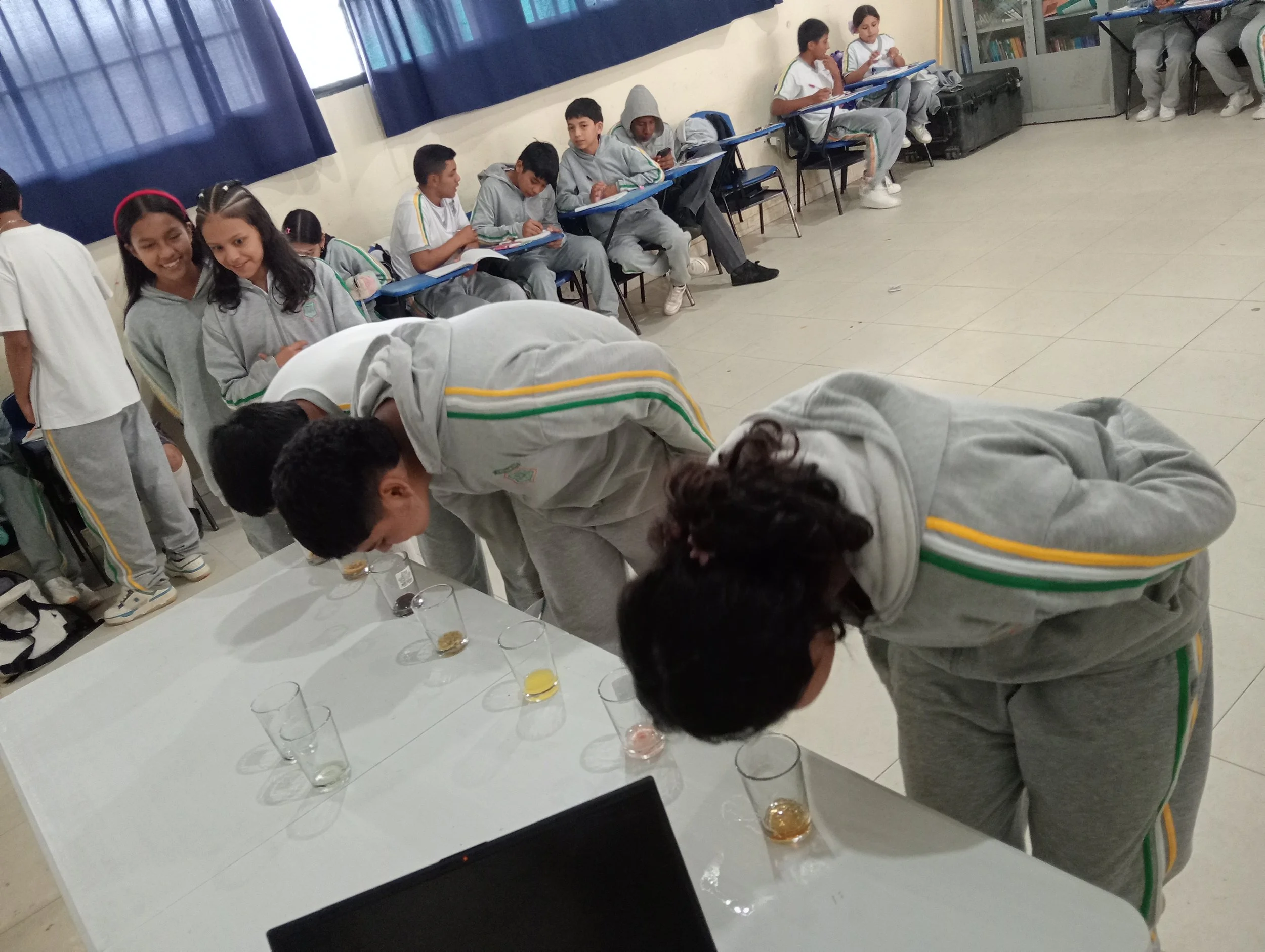 IMG20260327095923.jpg