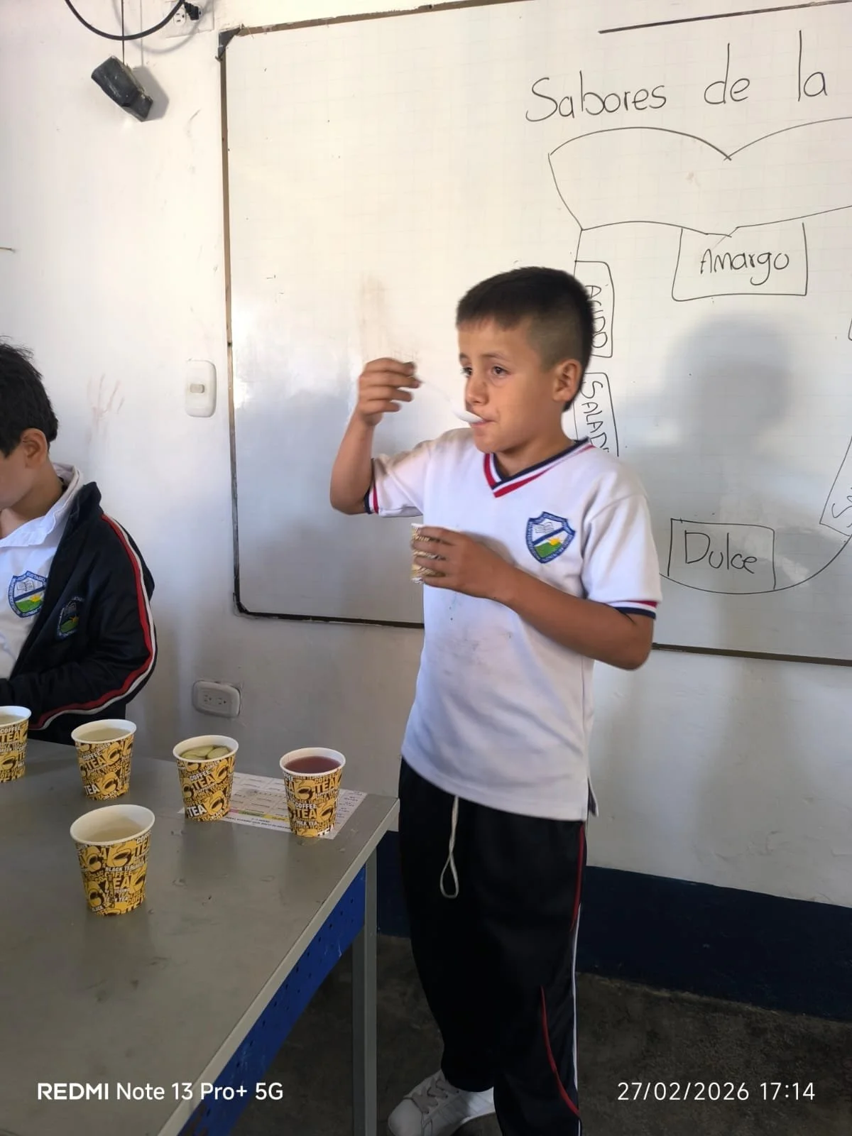 Copia de e7c306bf-4bce-4fba-8680-558f8759692b.jpg