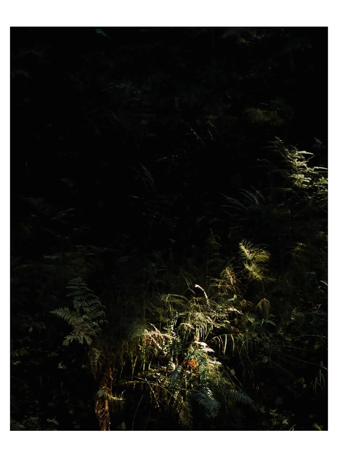 Reflecting and day dreaming about this beautiful place and the experience @giustinaeaston created for us