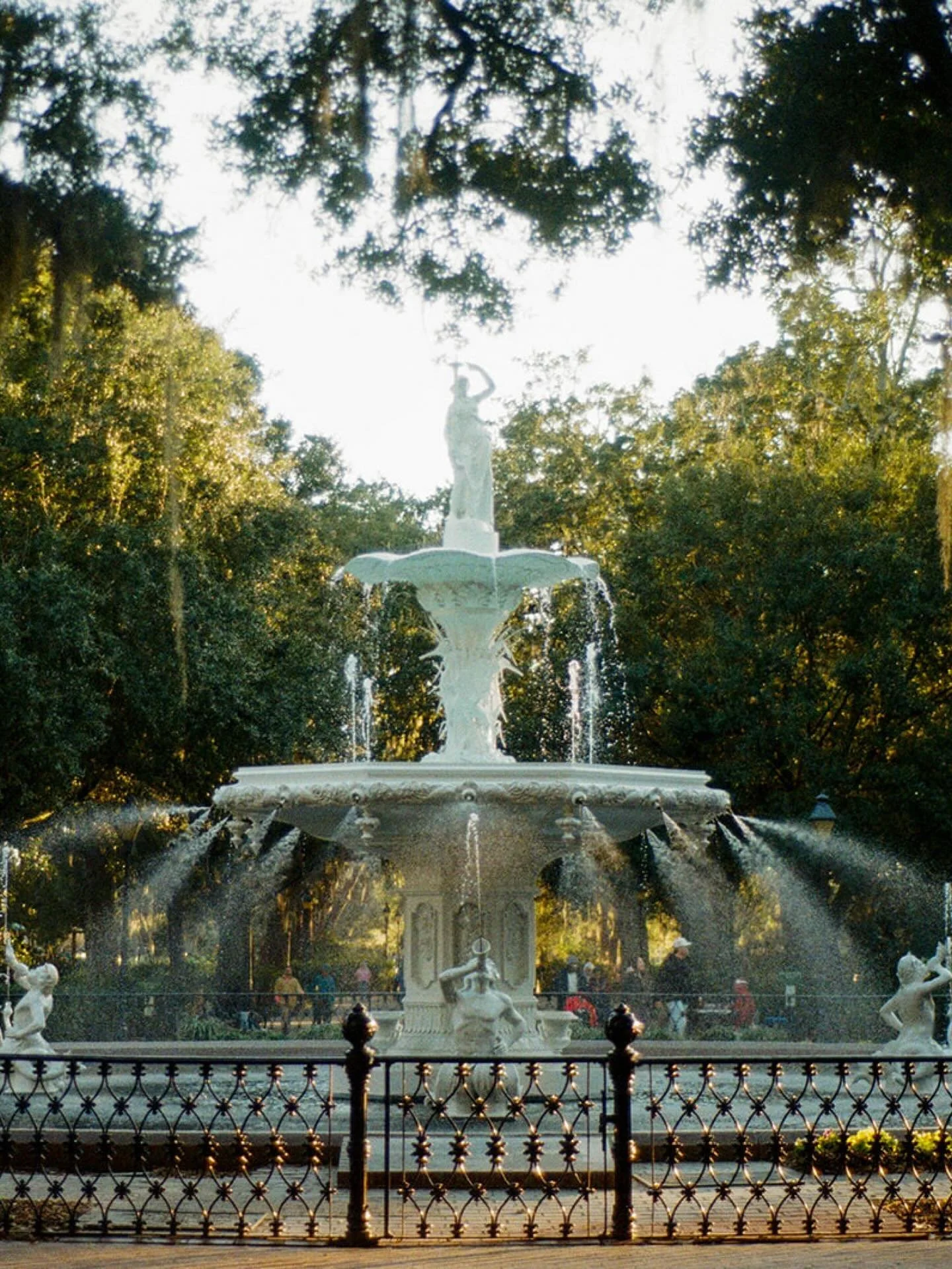 Earlier this year we had the privilege of visiting Savannah for the first time. The beauty is undeniable, the history devastating, the food.. absolutely delicious. 

We stayed right of Jones st in a cozy @airbnb complete with a giant bathtub (A requi