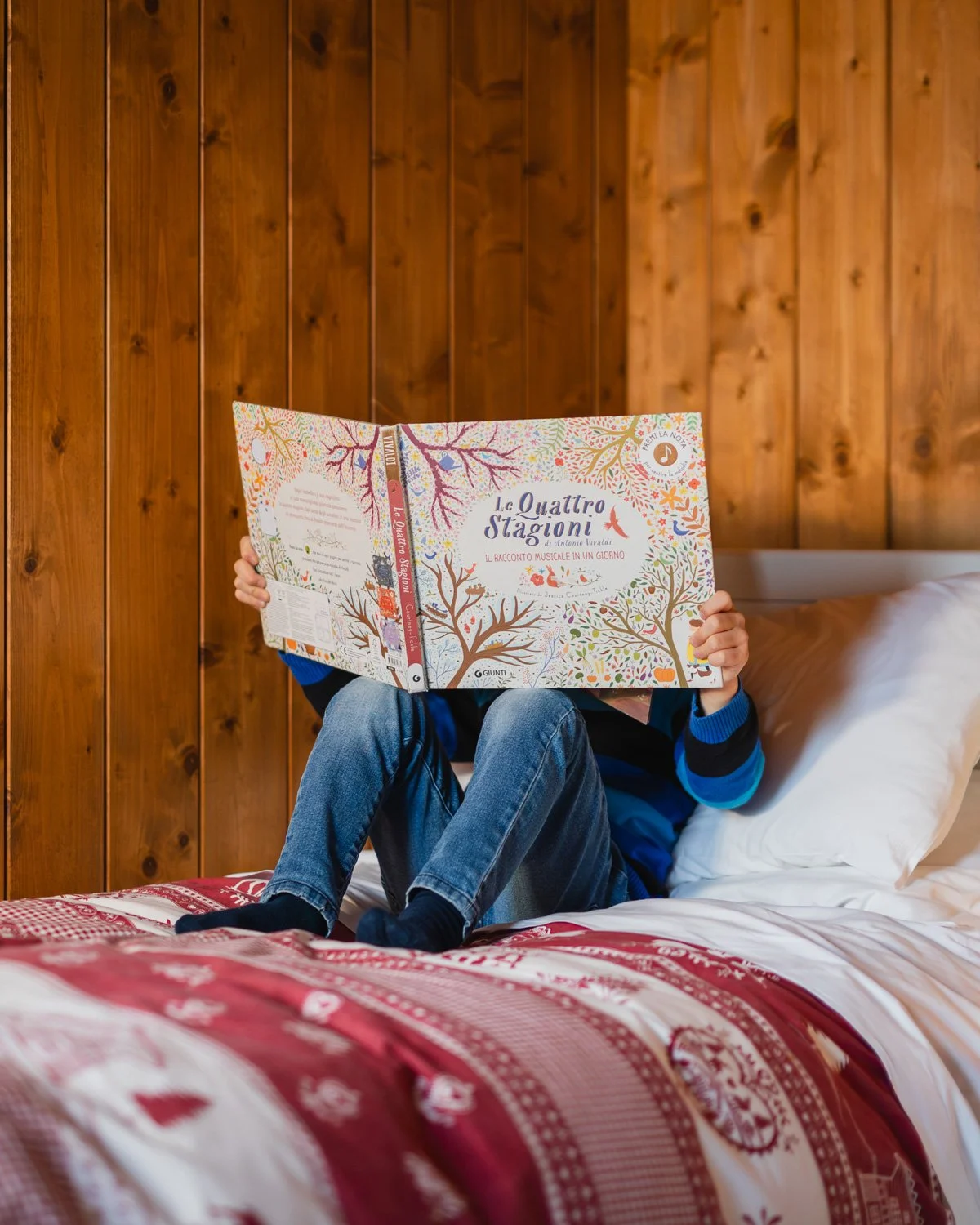 Mansarda Adele - Ravascletto - IMG_4303.jpg