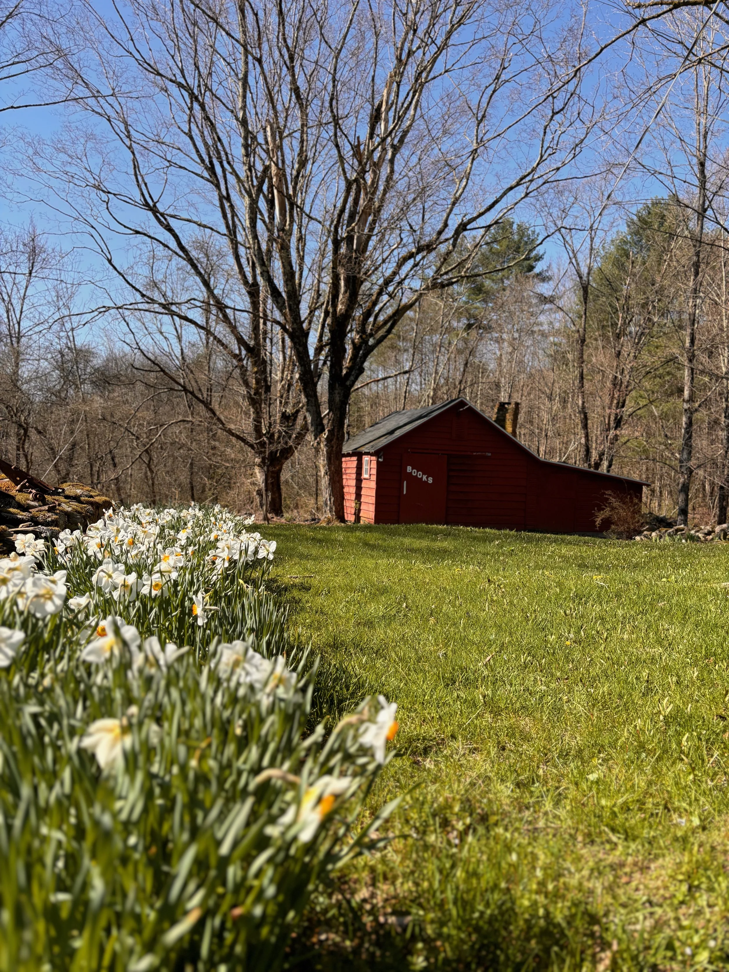 Spring Can Really Hang You Up