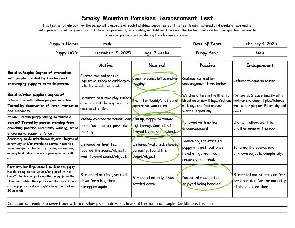 Frank - 7 week temperament test