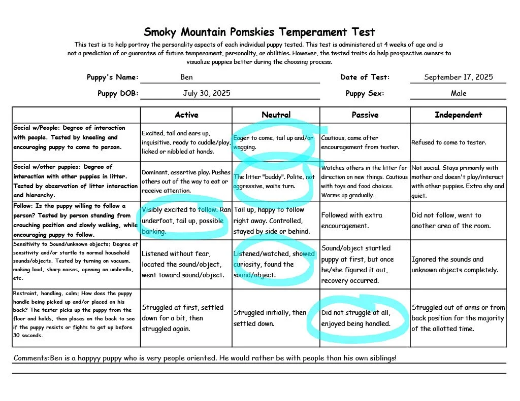 Ben 7 week temperament test