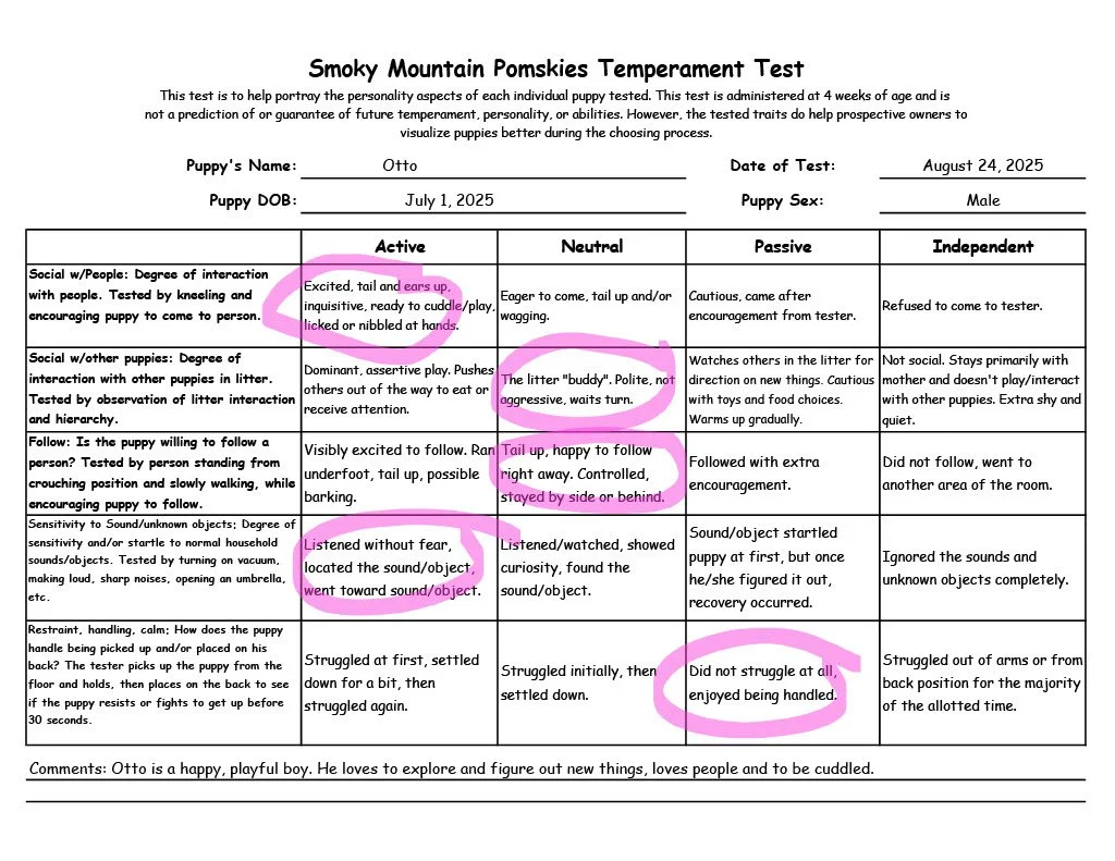 Otto 7 week temperament test