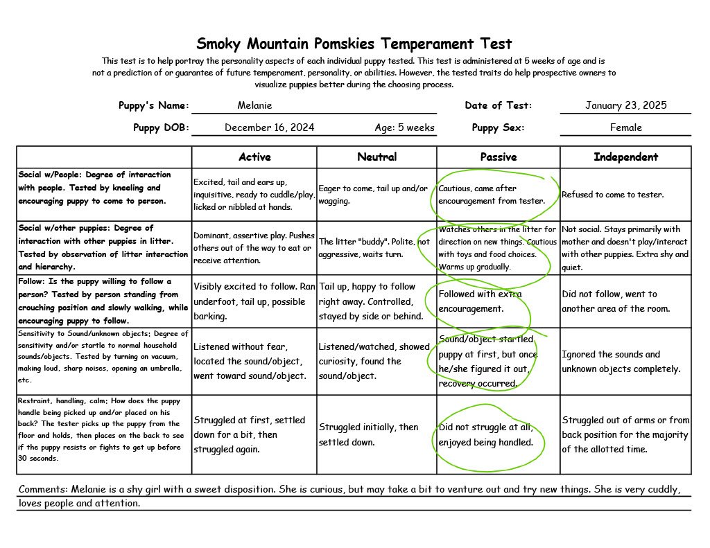 Melanie - 5 week Temperament Test