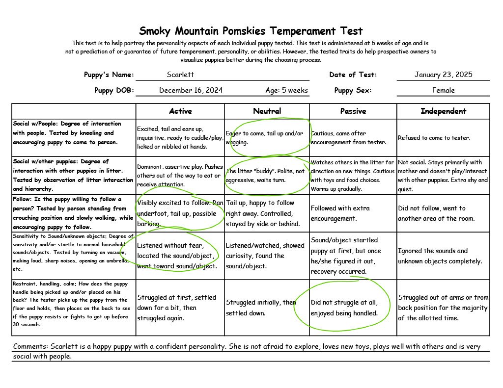Scarlett - 5 week Temperament Test