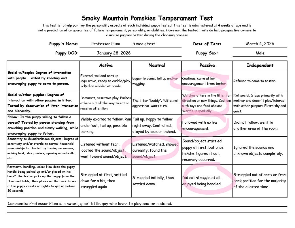 Professor Plum 5 week temperament test