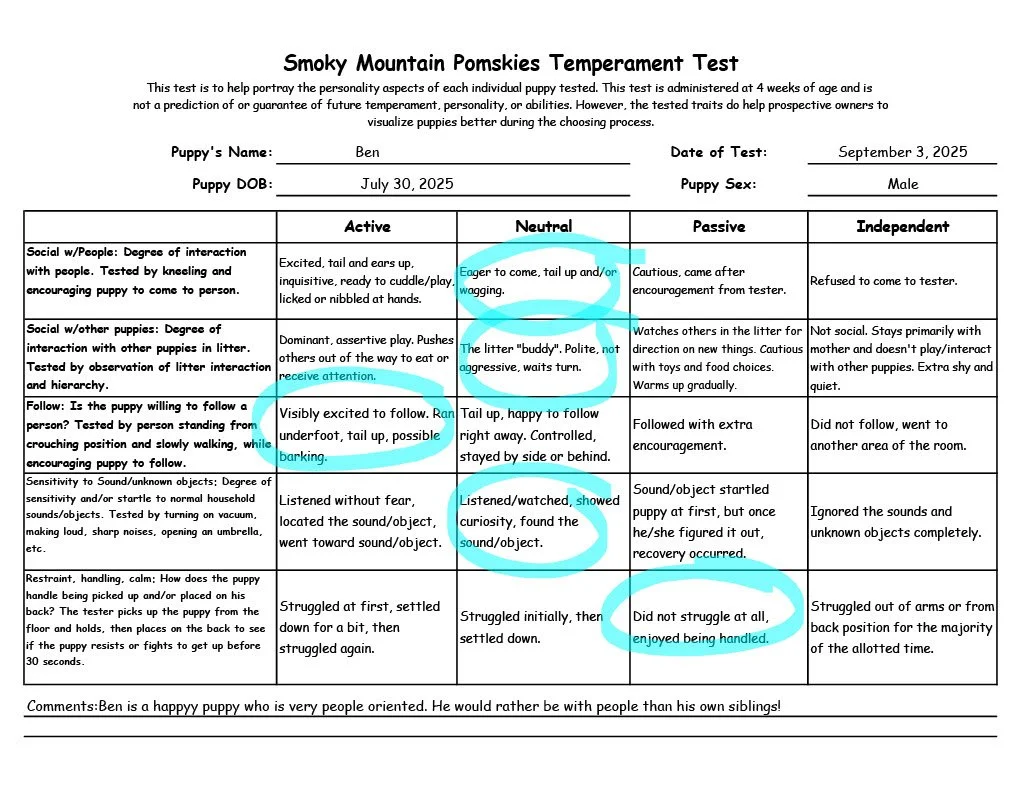 Ben 5 week temperament test