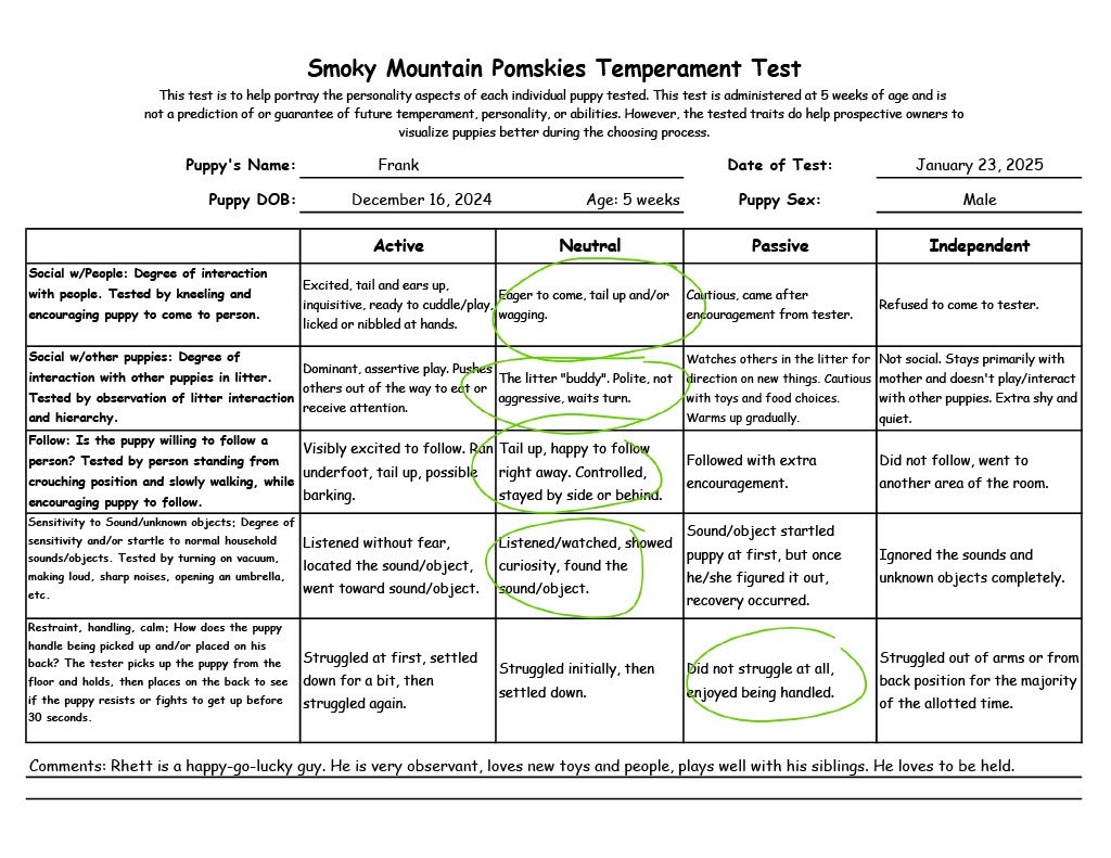 Frank - 5 week Temperament Test