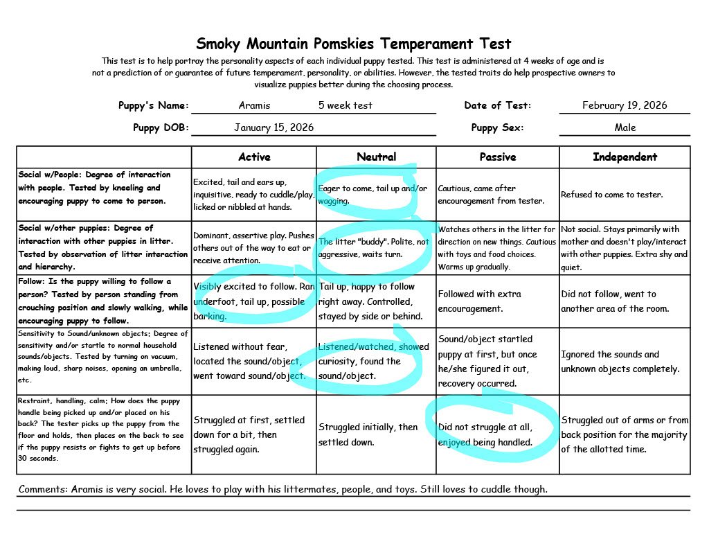Aramis 5 week Temperament Test
