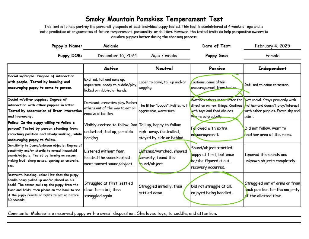 Melanie - 7 week temperament test