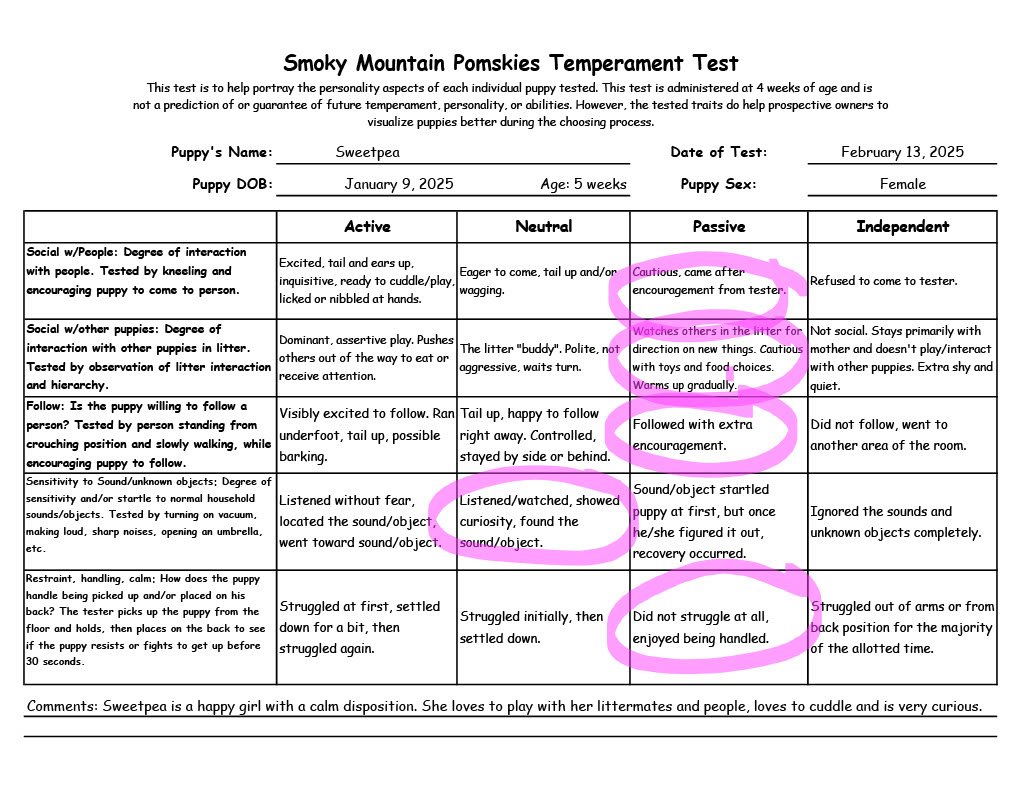 Sweetpea - 5 week Temperament Test