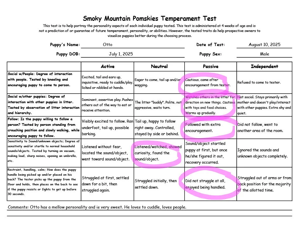 Otto 5 week Temperament Test