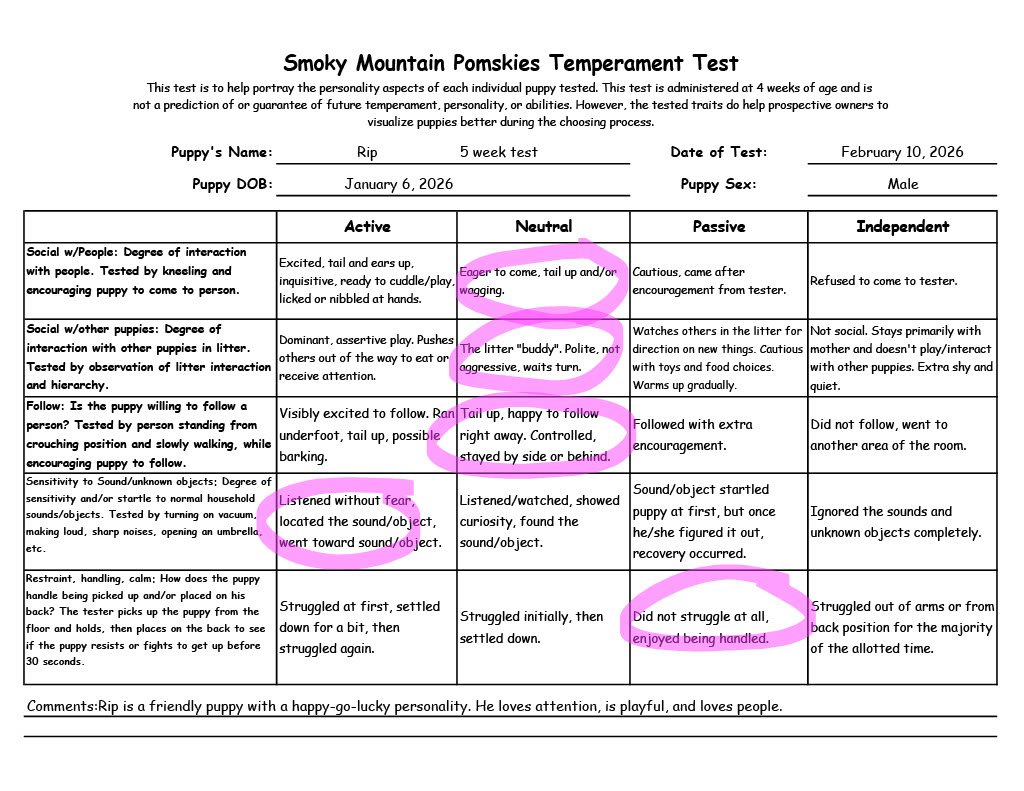 Rip 5 week temperament test