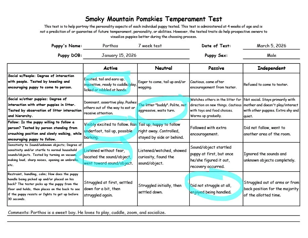 Porthos 7 week Temperament Test