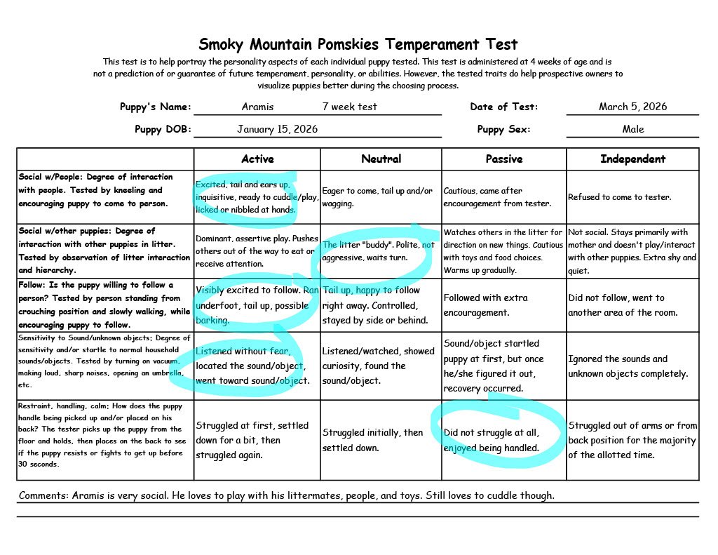 Aramis 7 week Temperament Test