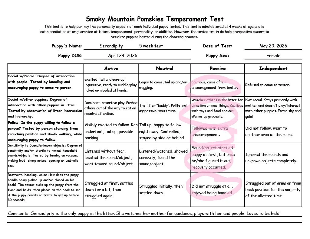 Serendipity 5 week temperament test
