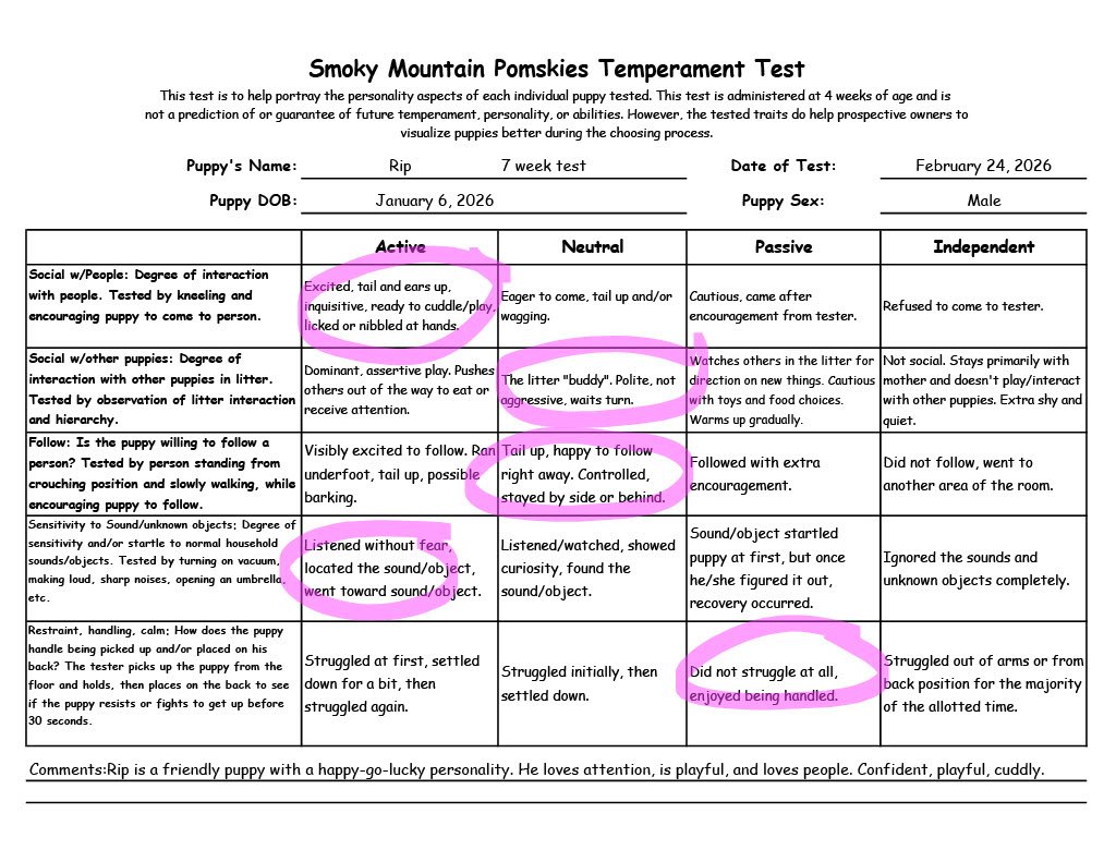 Rip 7 week Temperament Test