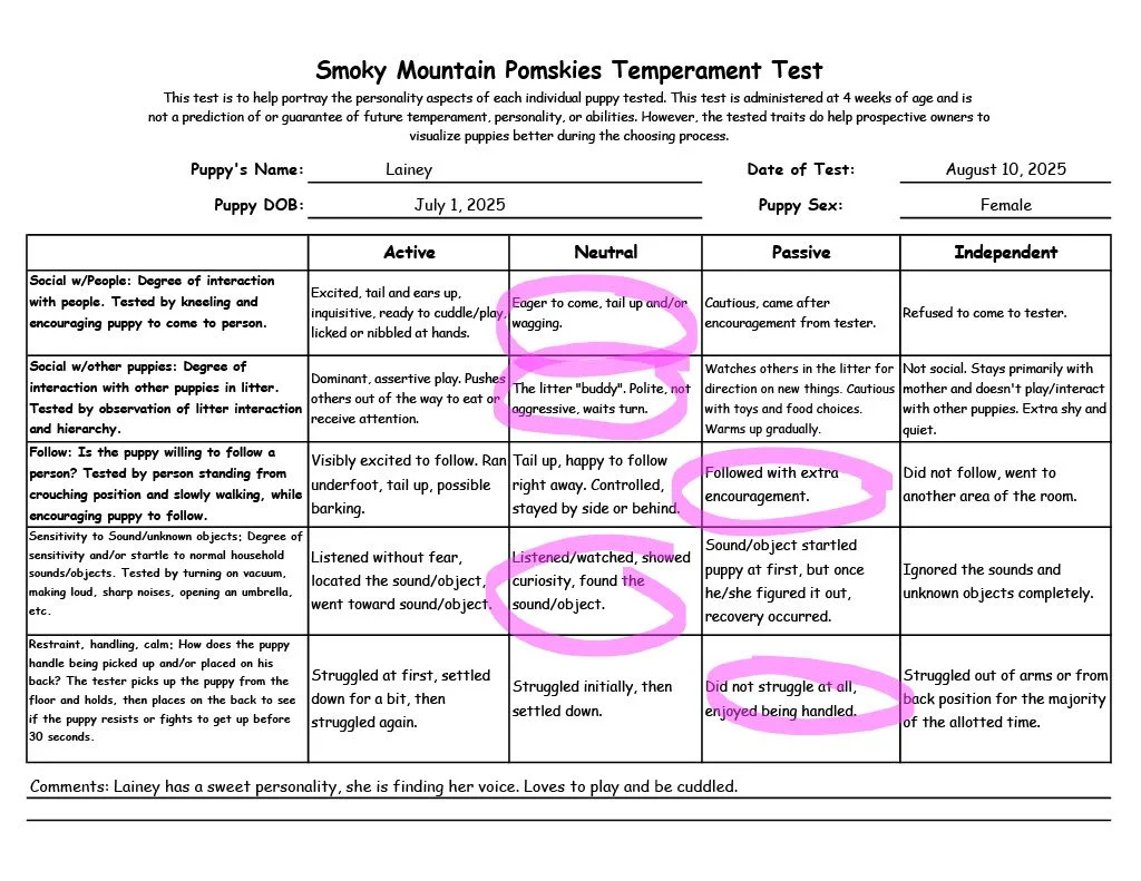 Lainey 5 week Temperament Test
