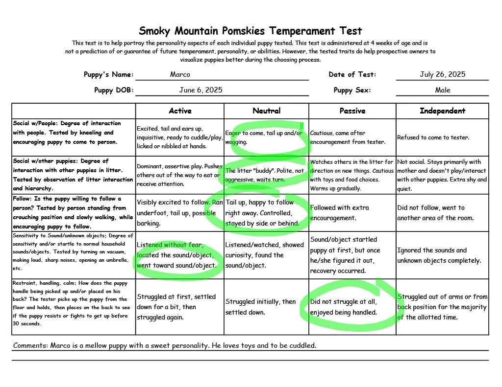 Marco 7 week Temperament Test