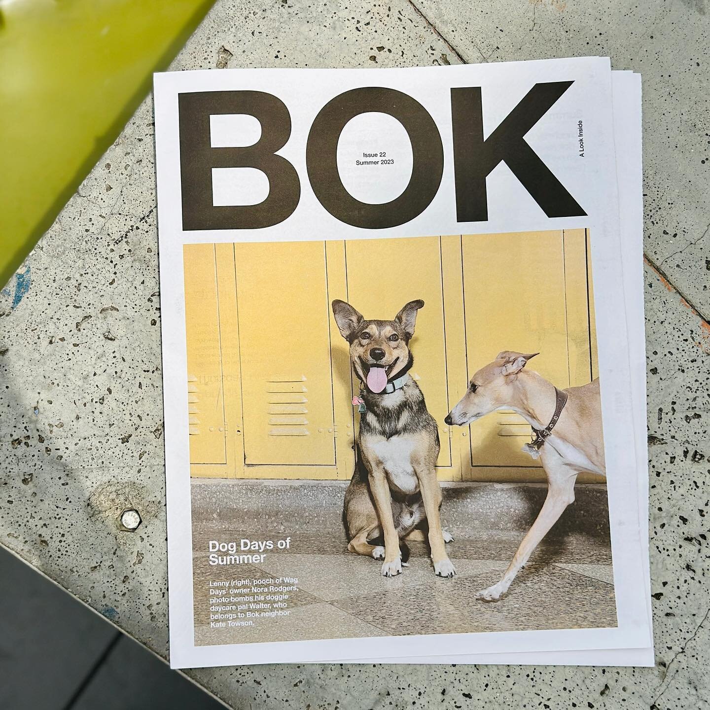 Have you seen @buildingbok&rsquo;s most recent quarterly newspaper? We keep &lsquo;em stocked next to the elevator on the 8th floor, so be sure to grab one next time you&rsquo;re here 💛