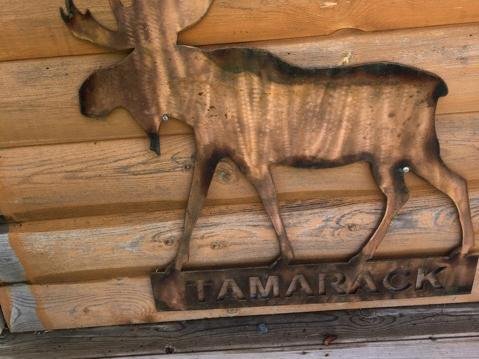 Lodging - Tamarack10.jpeg