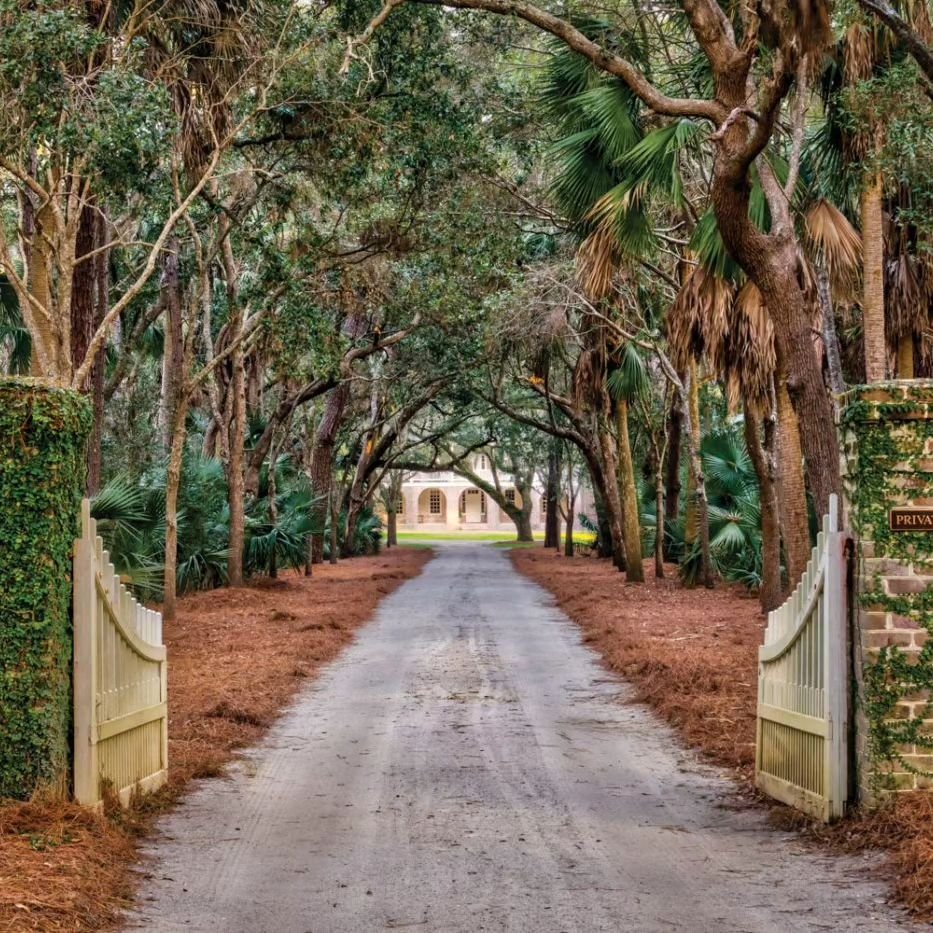 🌿✨ Behind the Garden Gate is back! Join us in partnership with The Garden Conservancy as we explore two iconic locales: Kiawah and Old Village, Mt. Pleasant. This enchanting tour offers a peek into some of the most stunning private gardens in these 