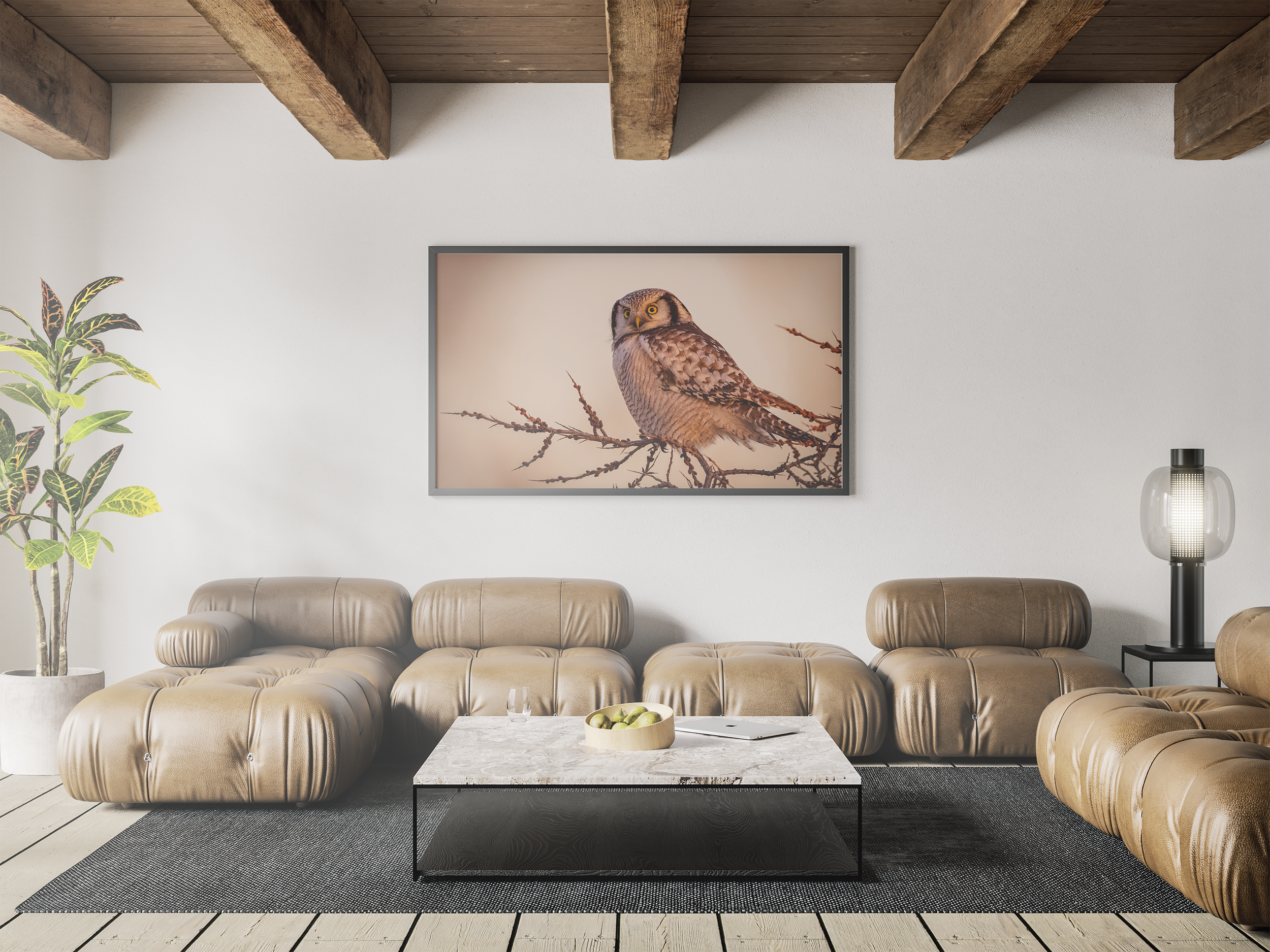 PicAc_Mockup5.png
