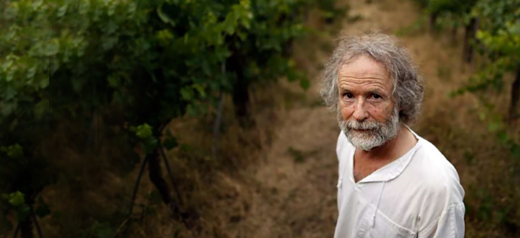 Clos Saron - North Yuba, CA