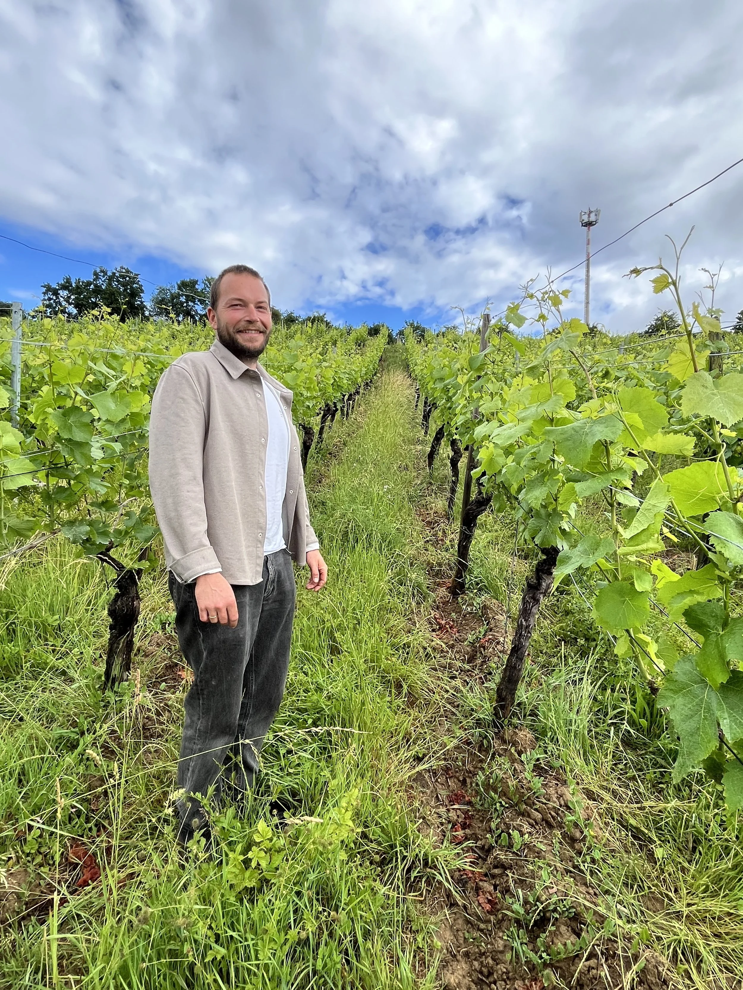 Steinerkreuz Vineyard