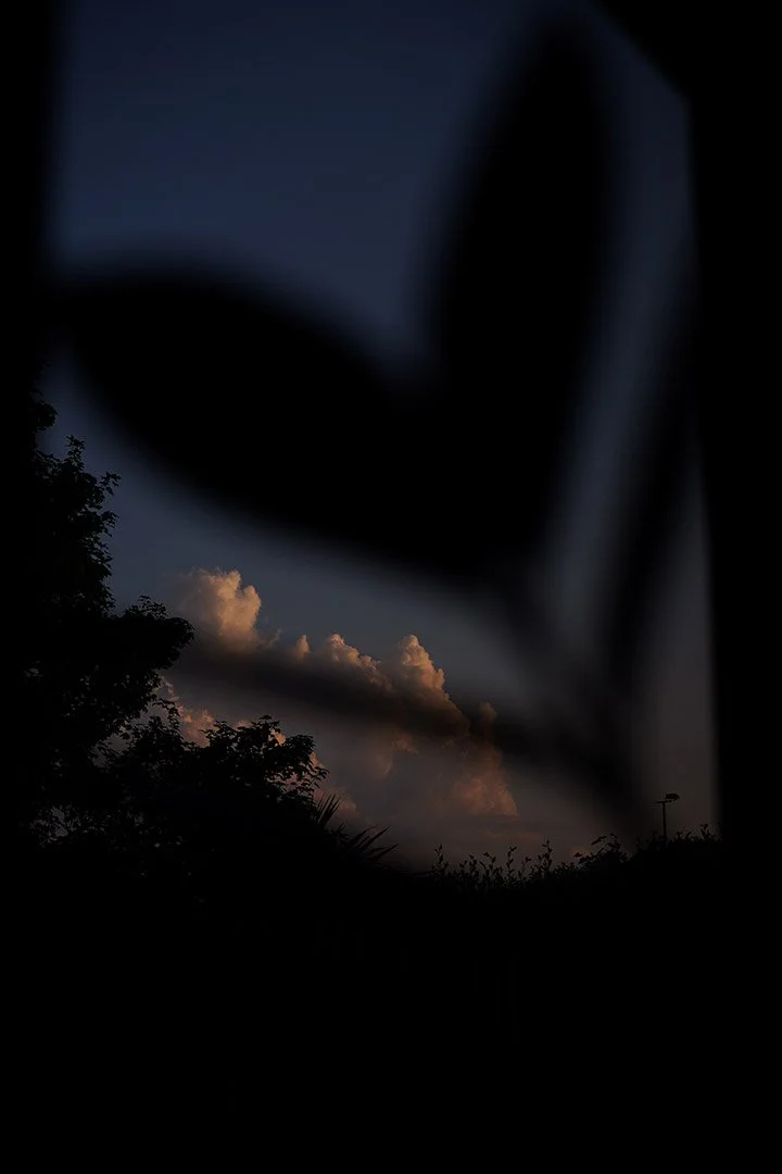 Sheltering Sky, 2021