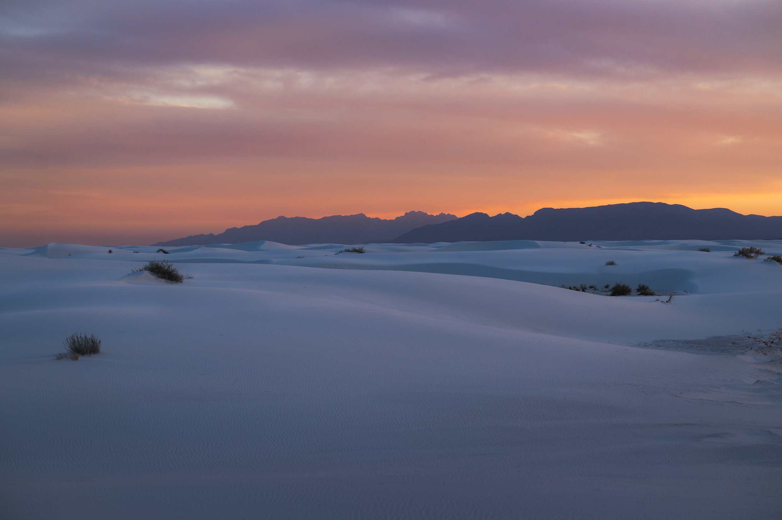 DSC_0304.jpg