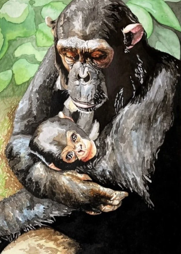 Sketch For Survival 2021, at the gallery@OXO, London, 17-28th November 2021