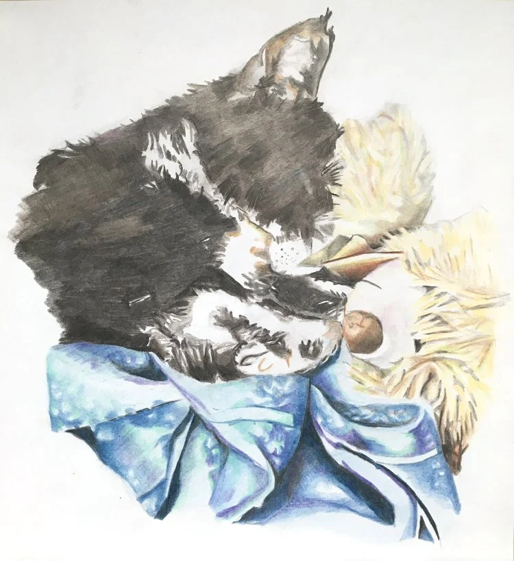         My Very First Pet Portrait