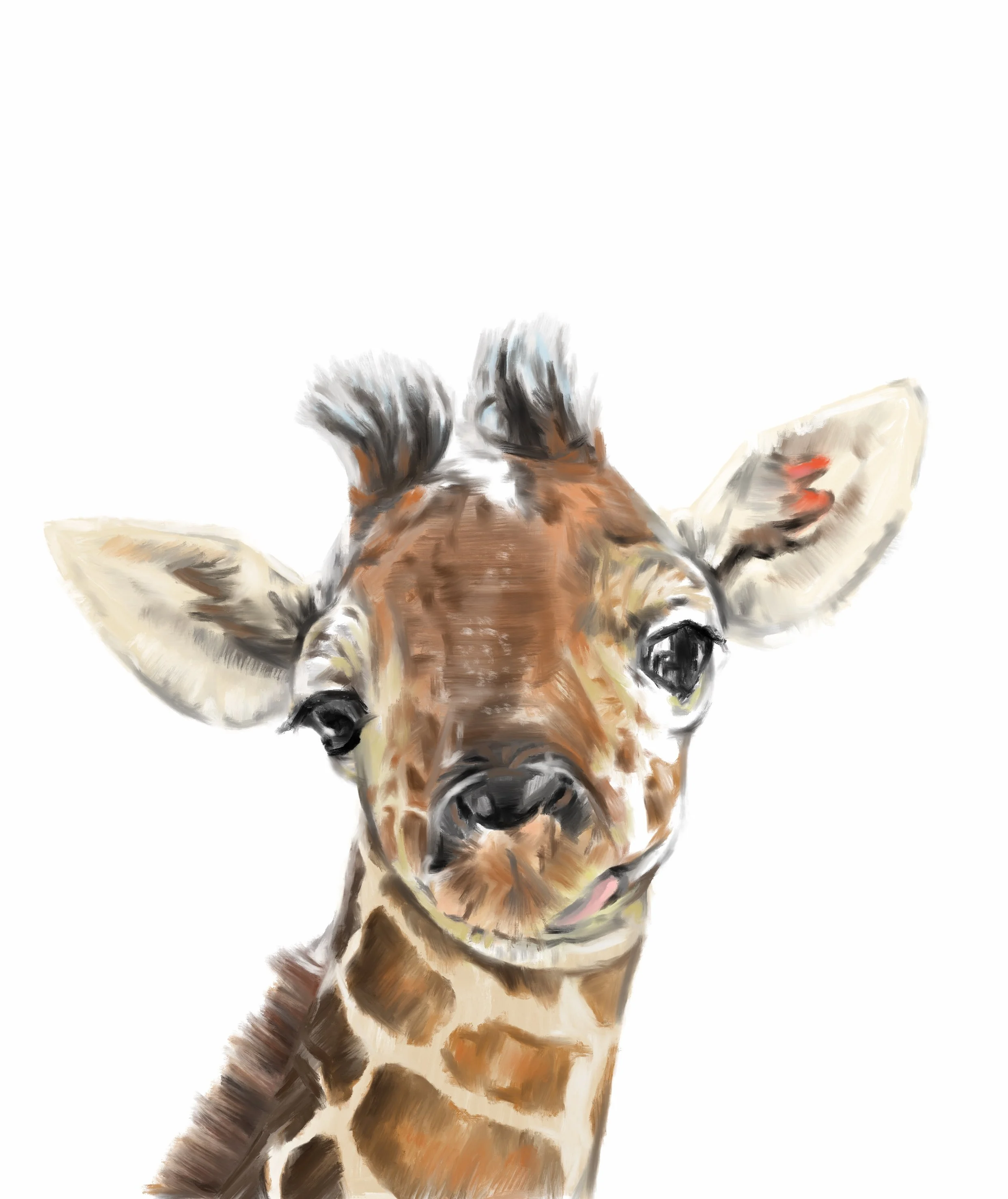 Special Edition Print in Aid of the Giraffe Conservation Foundation