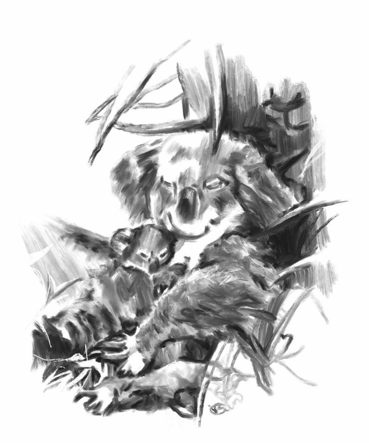 This Years Donated Artwork for ‘Sketch for Survival’