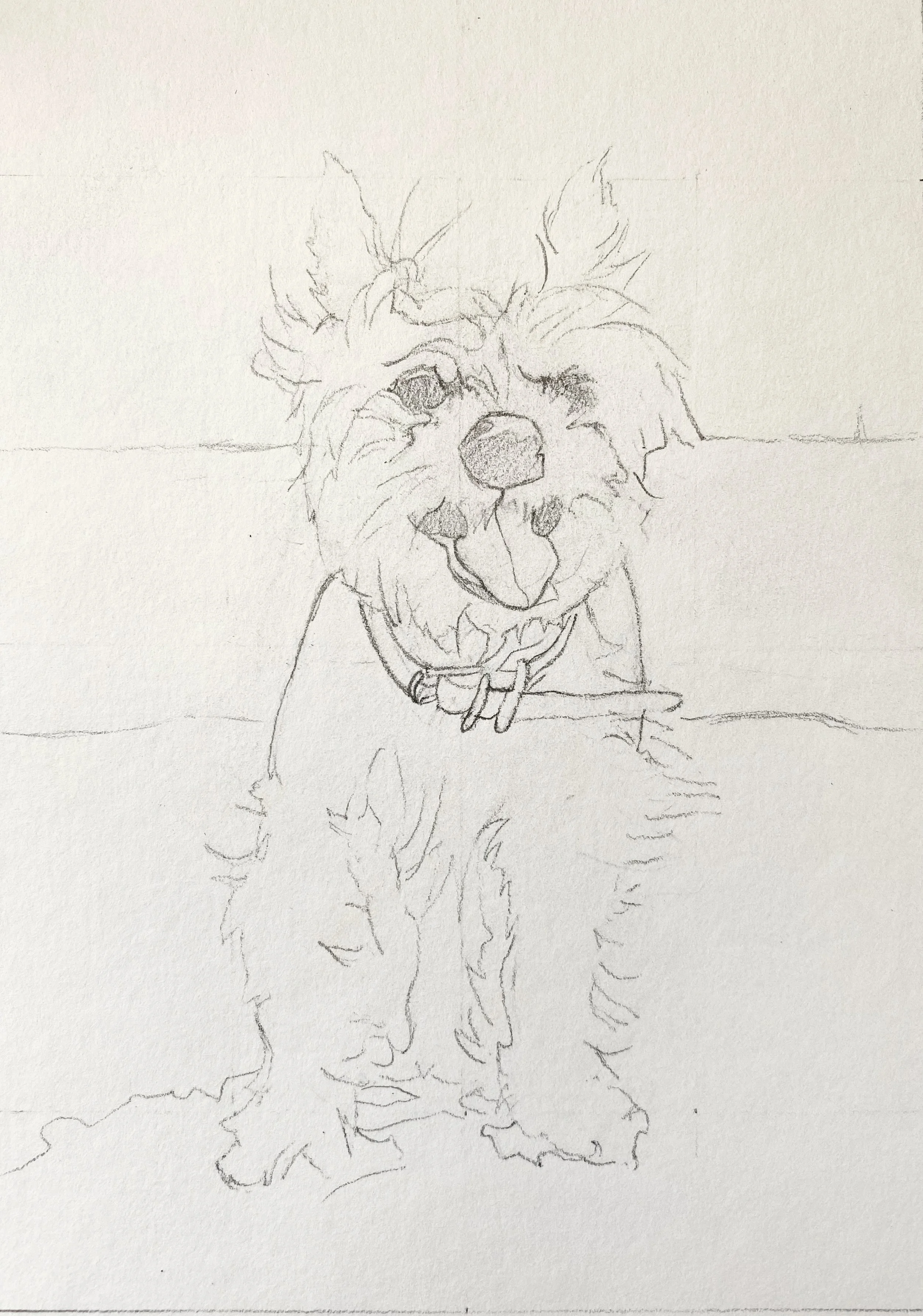 Twelve pet portraits on the go!