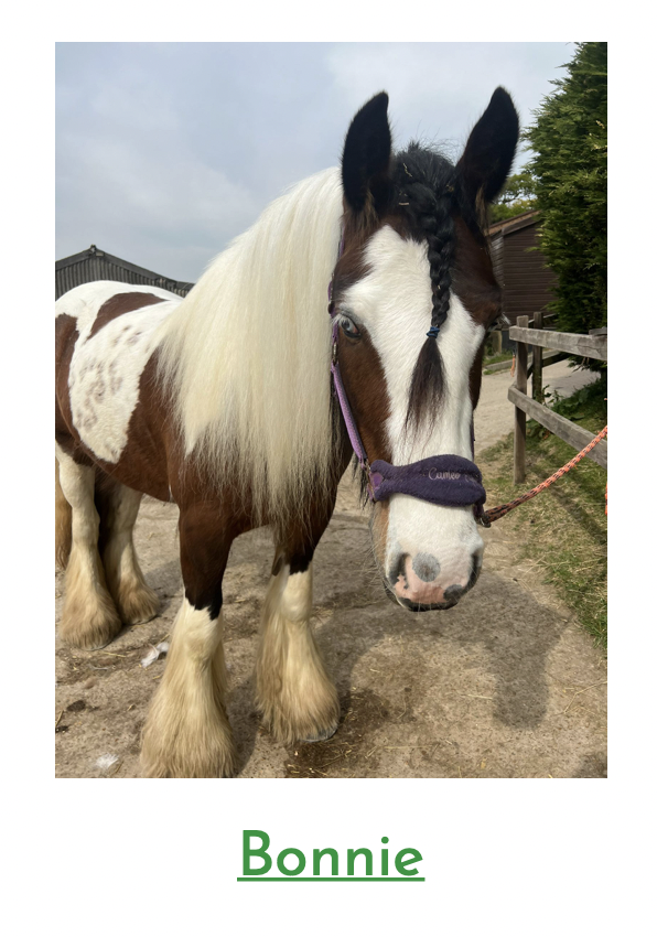 Another Riding Lesson with Bonnie