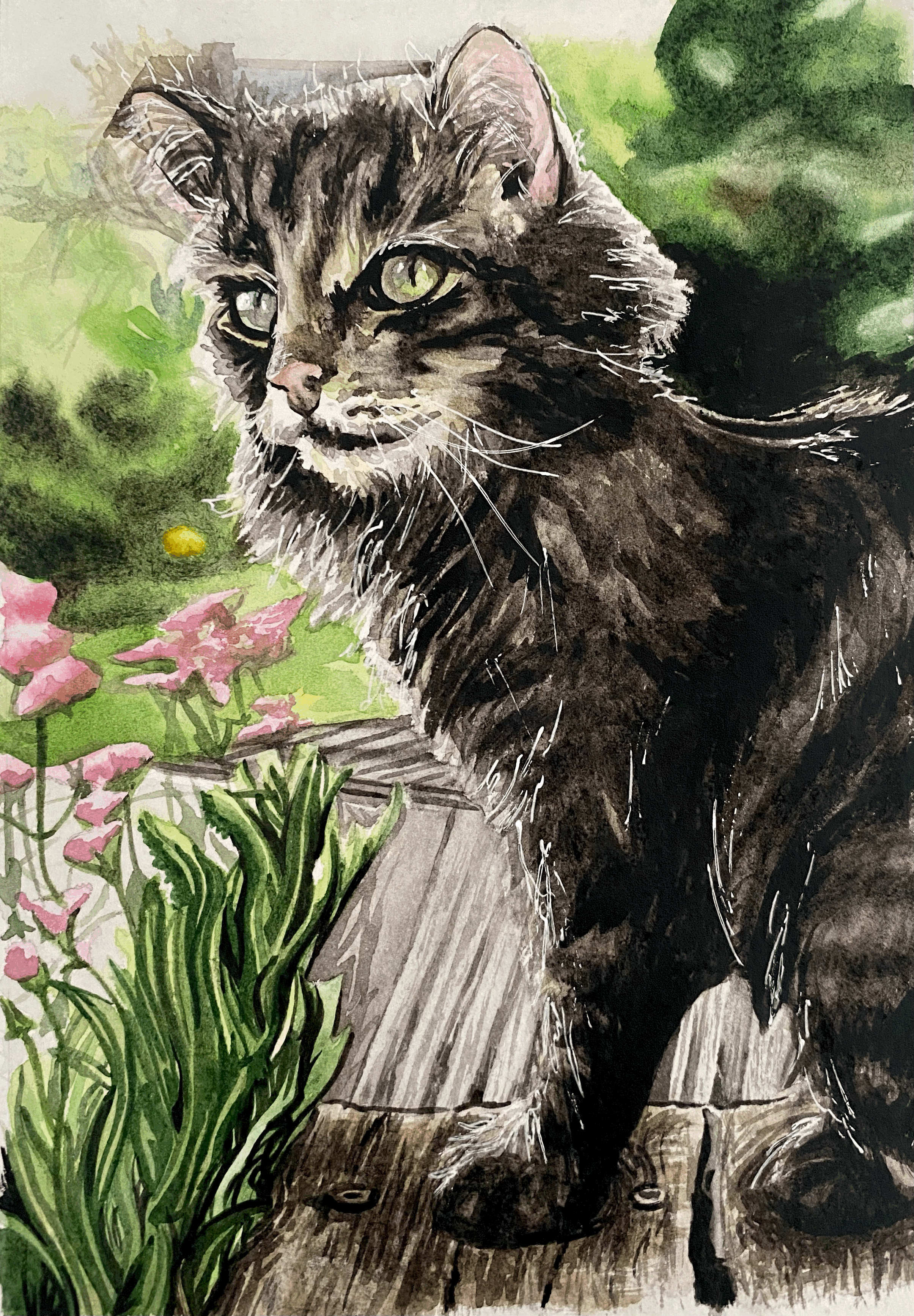 Tabby Or Not To Tabby?