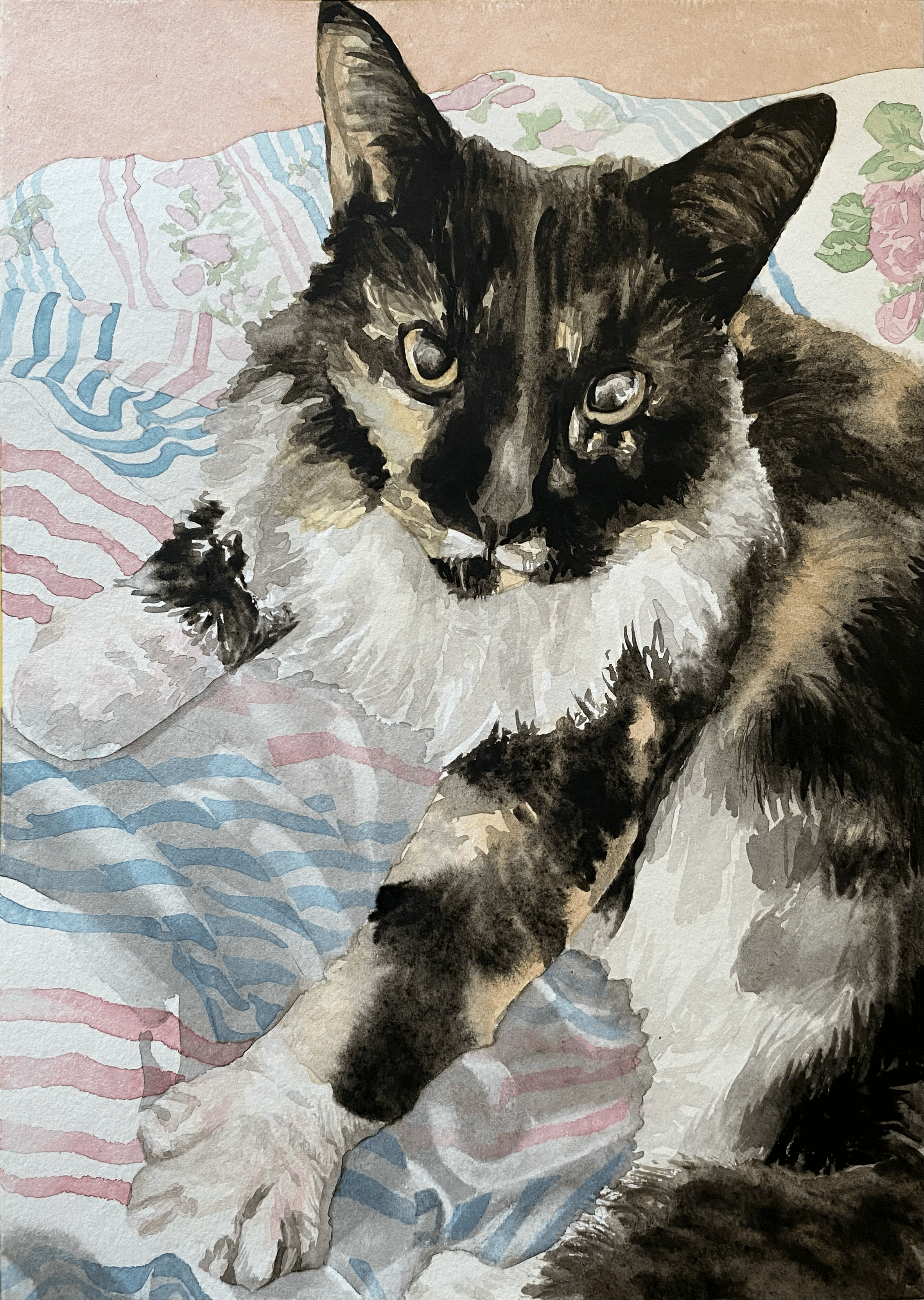 On Entering Mittens for a Competition!