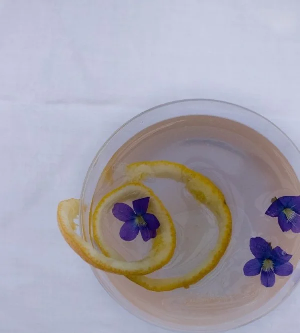 image-asset (4).jpeg