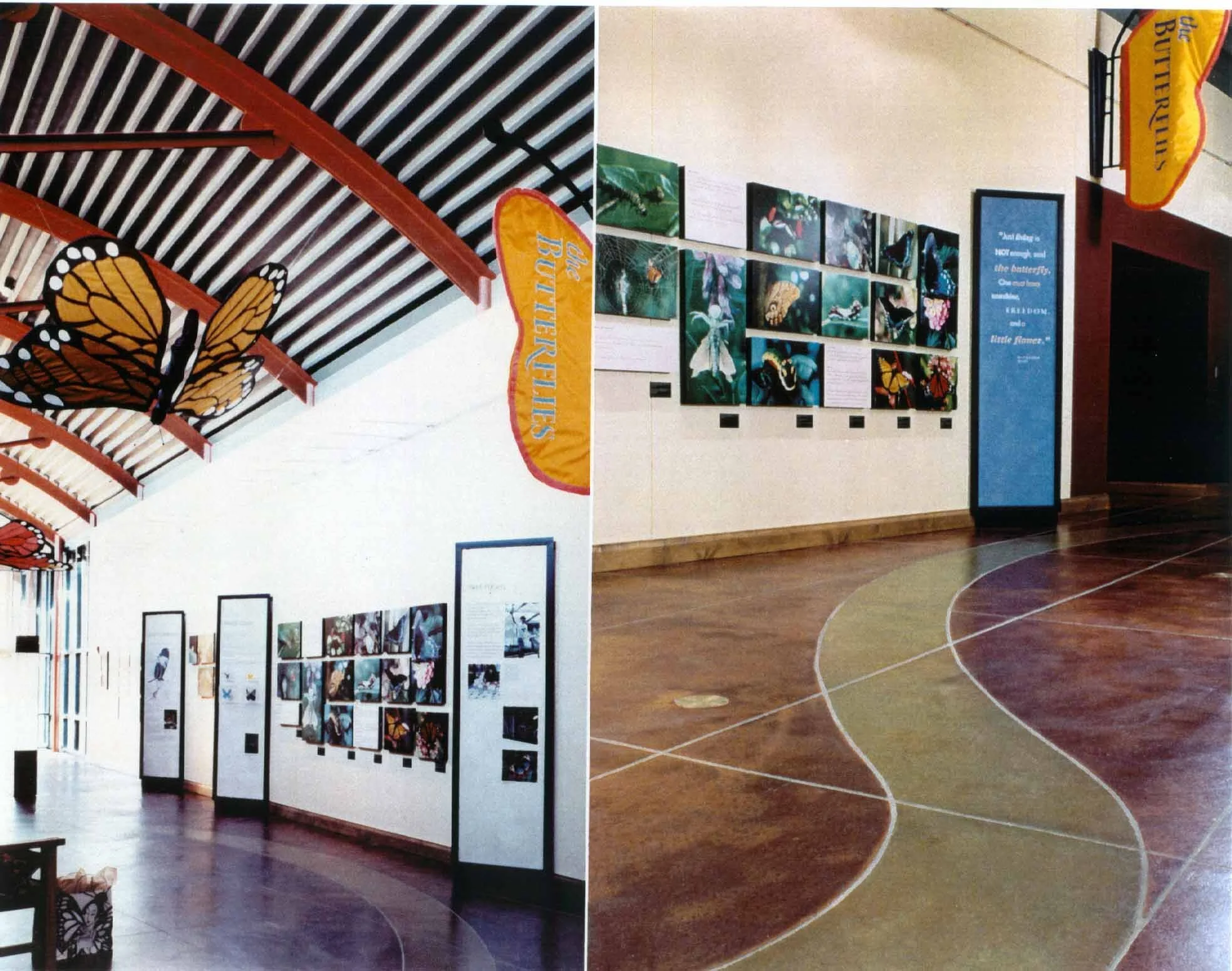 butterflyinterior.jpg
