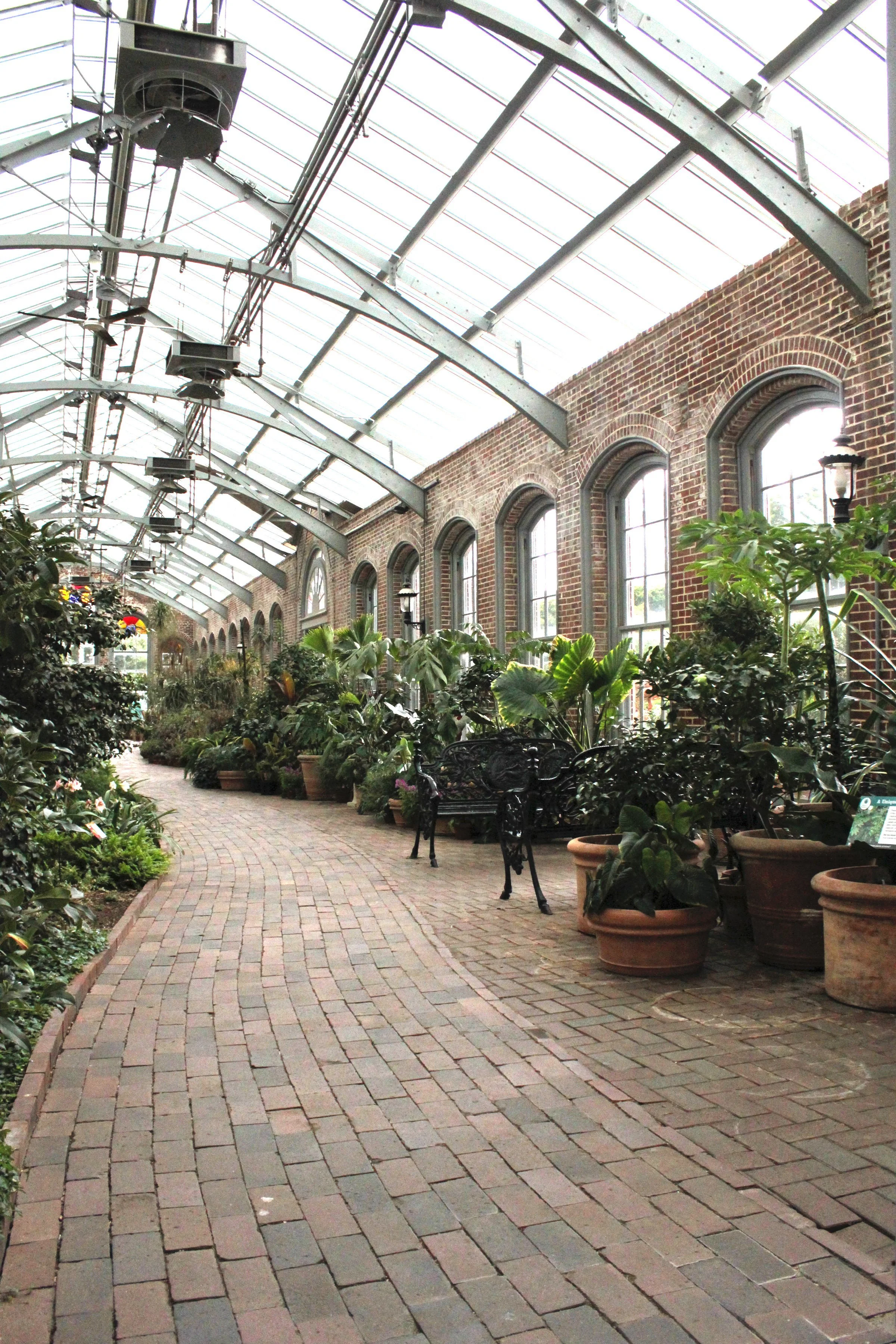 Garden2.jpg