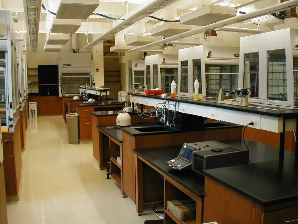 WUTYPICALLAB.jpg