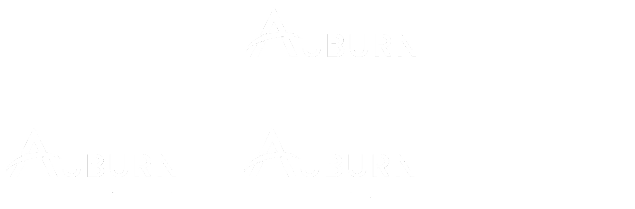 Flowchart of Auburn Holdings and its subsidiaries, including Auburn Services, Auburn Group, and Cedar Mechanical & Electrical, all with black background and white text.