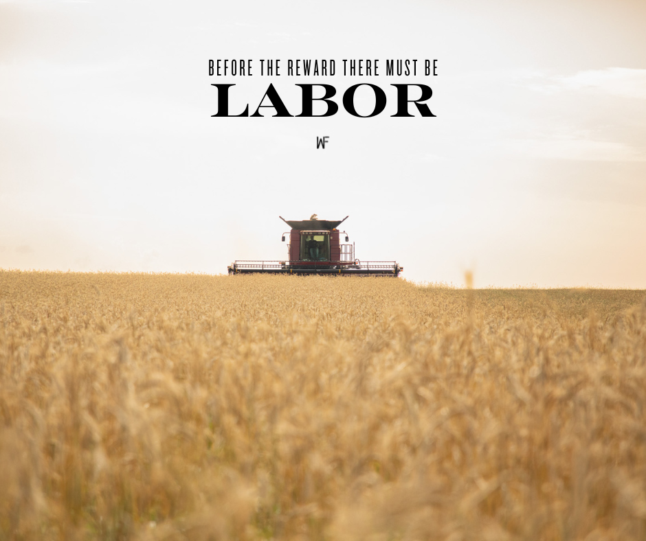 Rye Harvest Post .png